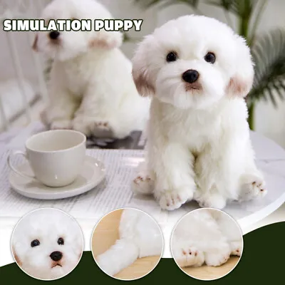 Lifelike Realistic Maltese Dog Plush Toy Soft Stuffed Animal Doll Kids Gift 15  • $29.69