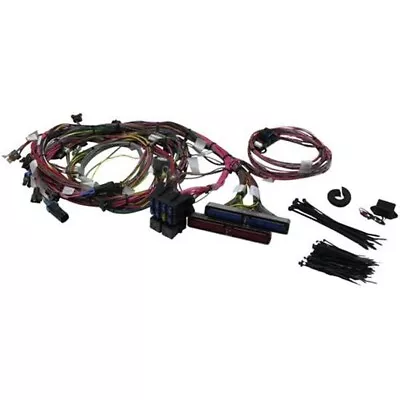 Painless Wiring 60508 1999-2002 GM LS1 Engine Harness • $549.99