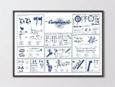 $34 • Buy Campagnolo Record / Nuovo Record Vintage Poster 36  X 24  NOS Original From 1973