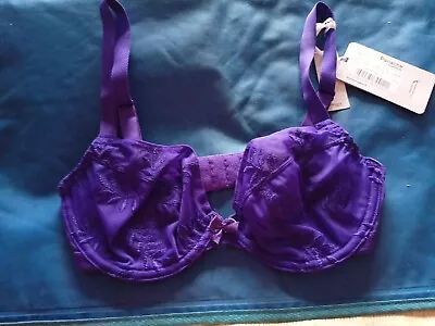 Panache Tango Classic Plunge Superbra Bra Purple Size 30dd . Semi Sheer  • £8.99