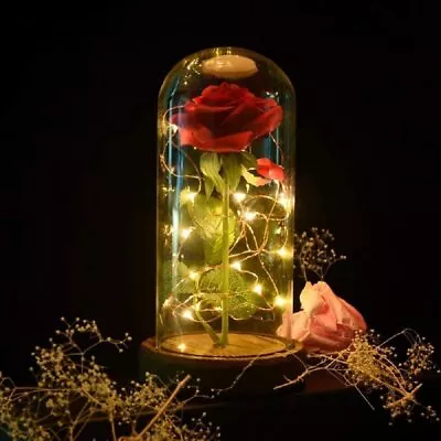 Beauty And The Beast Red Rose Flower In Glass Dome With LightsValentine Wedding • $23.90