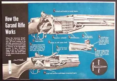 M1 Garand Rifle .30 Caliber Springfield 1951 Artwork • $10.89