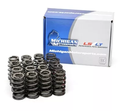 Michigan Motorsports .600  Beehive LS Valve Springs LS1 4.8L 5.3L 5.7L 6.0L 6.2L • $184.99