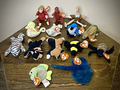 Teenie Beanie Babies ~ Lot Of 14 Vintage 1990s Plush Toys With Tags TY 90’s • $26.99