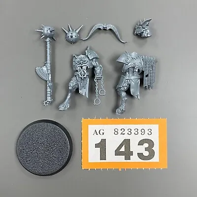 Bestigor Destroyer Spire Tyrants Chaos Everchosen Warcry Marauder Hero Leader • £15.95