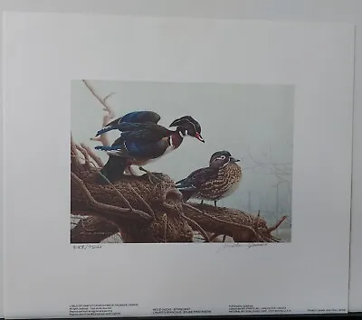 Michael Dumas Wood Ducks Spring Mist 1990 Print Stamp Wildlife Habitat Canada • $95