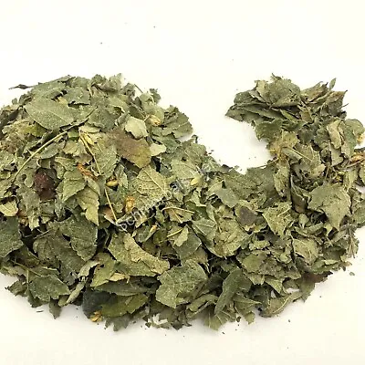 Dream Herb Calea Zacatechichi Leaf 1 Oz FreeShip ~ Schmerbals Herbals • $10