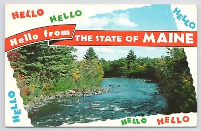 Maine~Hello Banner Across Stream Lined With Pines~1950s Postcard • $3