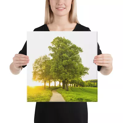 Oak Tree Landscape Canvas • $59.49