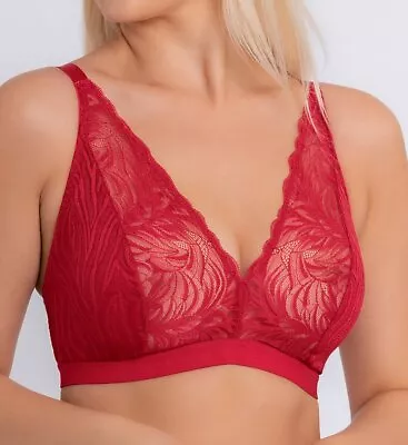 Curvy Kate CK4411 Lace Daze Bralette • $34.95