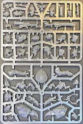 Krootox Rider Kroot Hunting Pack T'au Empire Army Warhammer 40k - NoS (x1) • $70.07