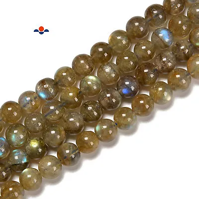 Natural Golden Labradorite Smooth Round Beads Size 3.5 - 10mm 15.5'' Strand • $8.49