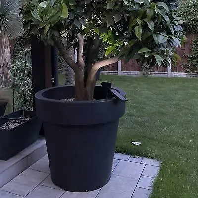 Big Plant Tree Pots Extra Large HUGE Indoor Outdoor Planter Garden Massive 430L • £289.99