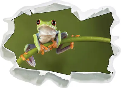 Tree Frog On Bamboo - 3D Look Paper Wall Tattoo Sticker Sticker • £17.20