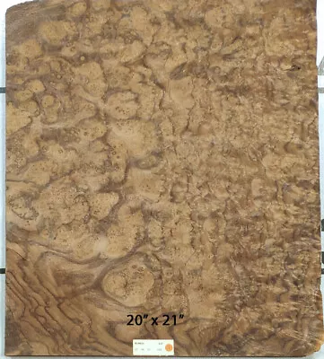 Walnut Burl Wood Veneer 20  X 21  Raw No Backing 1/42  Thickness AAA Grade #137 • $75