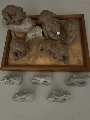 The Herd Winks Thinks Elephant Display With Five Figures. By Martha Carey • $40