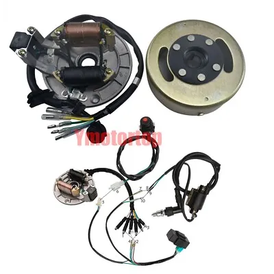 Magneto Stator Flywheel Rotor 2 Coil Wiring Harness For Go Kart Dirt Bike ATV • $95.98