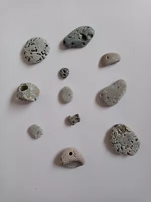 11x Natural Hag Stones With Holes Right Through Them.Pagan/wicca Lucky Stone. • £5.60