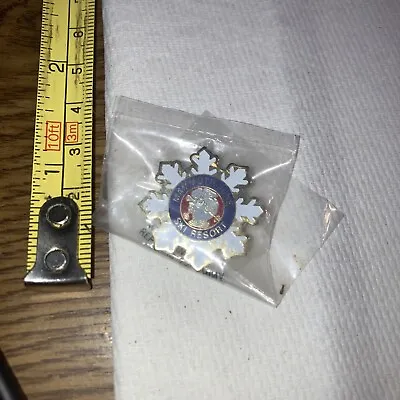 Vintage Pin Mammoth June Ski Resort • $5.33