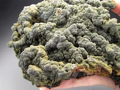 Mottramite Ojuela Mine Mexico  • $490