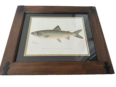 Vintage Original Denton Lake Trout Fish Print Framed / Matted 17.5 X 14.5 • $49.99