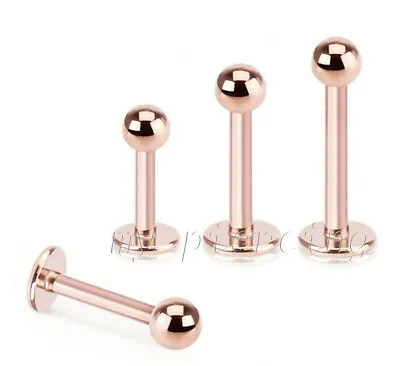 16G 14G Rose Gold Plated Surgical Steel Labret Monroe Tragus 1/4  - 7/16    • $3.82