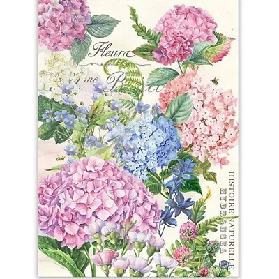 Michel Design Works Wild Hydrangea Natural Woven Cotton Kitchen Towel 20  X 28  • $10.95