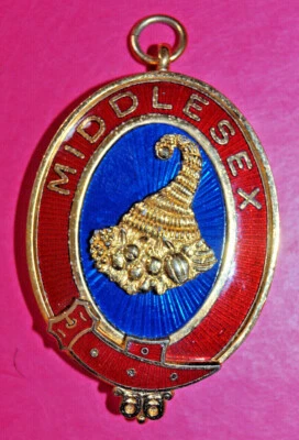 £20 • Buy Middlesex Mark Past Provincial Grand Steward Masonic Collar Jewel MMM