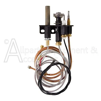 J4117 Natural Gas Pilot Assembly For Direct Vent Fireplaces Side Mount OEM Sit • $74.15