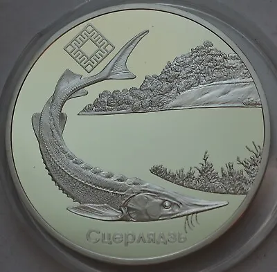 Belarus 20 Roubles 2007 Sturgeon STERLET Dniepra–Sozhsky Wildlife Reserve • $128.80