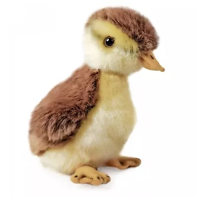 Mallard Duckling  Plush Soft Toy Bird Teddy By Living Nature. Gift. 14cmH • £13.99