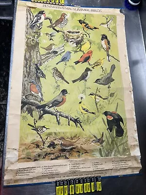 Pennsylvania Game Commission Pa. Summer Birds Poster Jacob Bates Abbott 1946 • $14.99