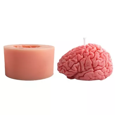 Brain Molds 3D Artificial Brain Silicone For DIY Baking • $22.72