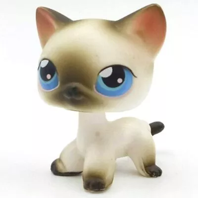 £10.99 • Buy #5 Littlest Pet Shop Limited Blue Eyes Short Hair Siamese Cat Grey LPS Toys