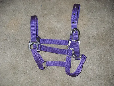  Purple Cob / Arabian Nylon Halter With Snap At Throat Adjustable  Crown • $6.99