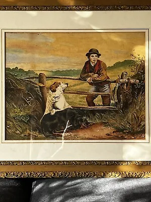 Antique Watercolour Painting After James Hardy Junior Hunting Dogs 19th Century  • £24.99