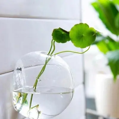 Wall Mounted Fish Tank Bowl Bubble Aquarium Hanging Goldfish Terrarium Bet Z6D0 • $8.06