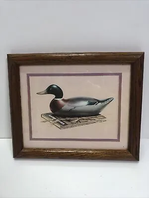 Vintage Mason Decoys Duck Decoy Framed ART Print Fisher • $78