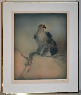 Listed Indian Artist KAIKO MOTI Signed Original Etching Aquatint 'Eagle' • $400