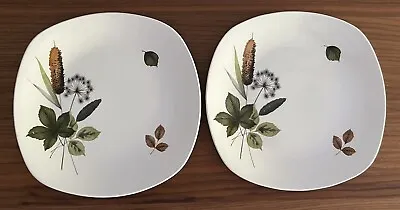 Pair Midwinter Stylecraft Riverside Fashion Shape Dinner Plates 244mm Diameter # • £4.99