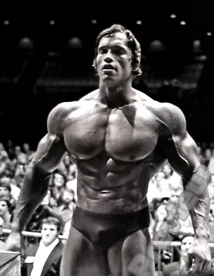 Arnold Schwarzenegger Bodybuilding Mr Olympia Print Poster Wall Art Picture A4 + • £4.99