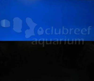 $20.97 • Buy Blue Black Reversible Border-less 24 H Aquarium Background Various Lengths