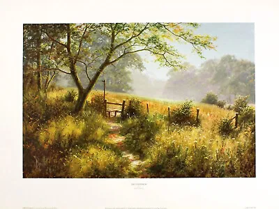 David Dipnall  Footpath  English Landscape Sunlight Brown Fine Art Print • £17.99