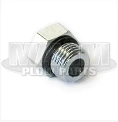 411918 Maxim Plow Parts- REPLACES MEYER 9/16  HEX HEAD PLUG WITH HOLE P/N 21999 • $8.99