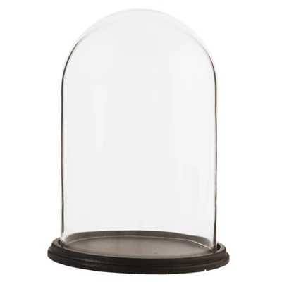 £47.99 • Buy Glass Display Cloche Bell Jar Dome Flower Preservation Vase Wooden Base 31cm