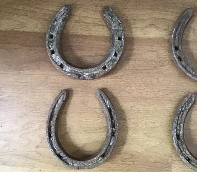 £4.50 • Buy Tiny Pony Horseshoe, Horse Shoe. Perfect Good Luck Charm, Wedding, New Home Gift
