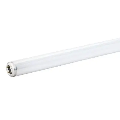 15-Watt 18 In. Linear T8 Fluorescent Tube Light Bulb Cool White (4100K) (1-Pack) • $14.99