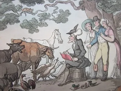 £10 • Buy Four Antique Etching's C.1813, DOCTOR SYNTAX, After Nature, Thomas Rowlandson