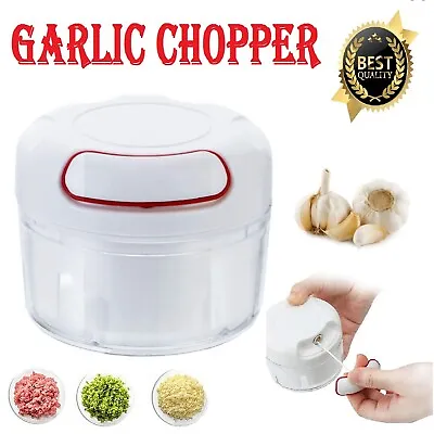 Multi-function Electric Garlic Grinding Food Vegetable Chopper Blender Crusher • $16.49