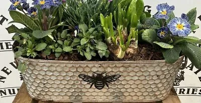 LARGE 16  BEE METAL TIN TROUGH BULBS HERBS Planters Plant Pots Garden SILVER POT • £16.99